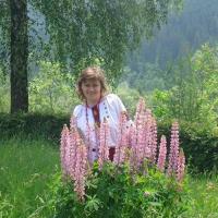 Презентація книжки Христини ВОРОК "Поетика сновидінь у прозі Івана Франка"